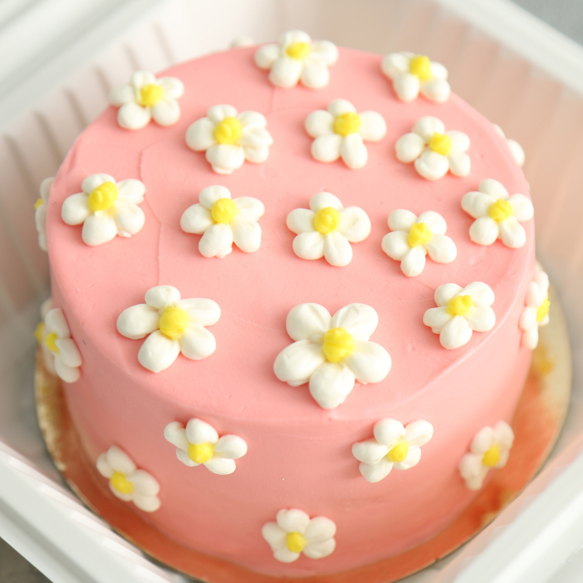 Торт бенто с ромашками Торт бенто с ромашками