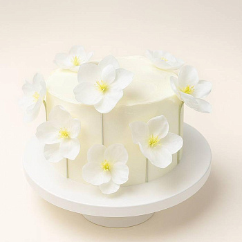 Торт под заказ "Вдохновение" 