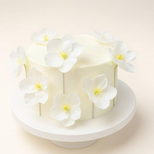 Торт под заказ "Вдохновение" 